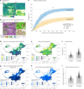 森林回復が中国の森林炭素吸収源を形成、研究で判明（Forest Recovery After Disturbance Drives China’s Forest Carbon Sink, Study Finds）