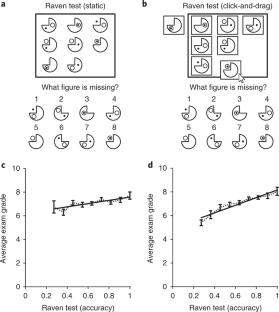 cognitive operations in problem solving