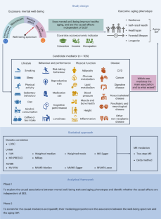 research methodology sample in case study
