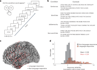 異なる時間スケールで言語を処理するニューロンを発見(Scientists find neurons that process language on different timescales)