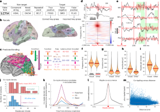 脳の最先端の記録から神経細胞がどのように共鳴しているかが明らかになる(State-of-the-Art Brain Recordings Reveal How Neurons Resonate)