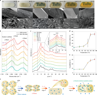 Thermoplastic moulding of regenerated silk