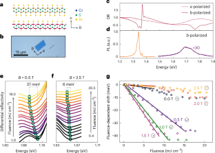 マグノン波を利用した次世代エレクトロニクス粒子制御技術（Researchers Surf the Magnon Wave To Control Particles in Next-Gen Electronics）
