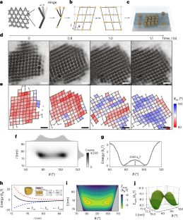 ナノ粒子の組織構造観察技術により新材料開発を加速（Researchers capture nanoparticle organizations to forge new materials）
