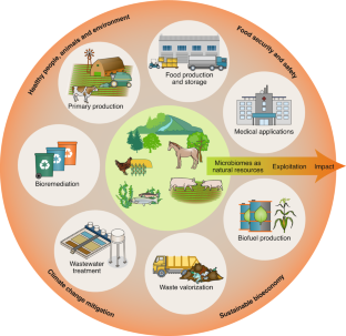 recent research in food microbiology