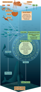 marine biological research