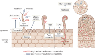 extended data figure 2