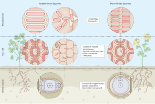 extended data figure 3