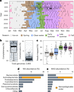 季節とともに時計仕掛けのように進化するバクテリアがいる(Some Bacteria Evolve Like Clockwork With the Seasons)
