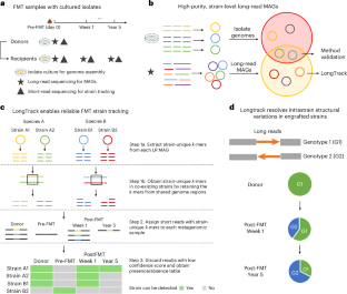 糞便微生物移植後の菌追跡技術を開発(Scientists Develop a Way to Track Donor Bacteria After Fecal Microbiota Transplants)