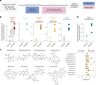 干ばつが土壌中の抗生物質耐性微生物を増加させる（Drought Leads to Increased Antibiotic-Resistant Microbes in Soils）