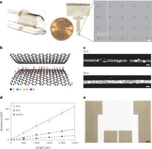 透明な脳インプラントは表面から深部の神経活動を読み取ることができる(Transparent Brain Implant Can Read Deep Neural Activity From the Surface)