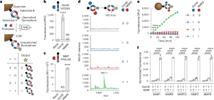 新しいバイオセンサーががん検出に革命をもたらす可能性(New Biosensors Could Revolutionize Cancer Detection)