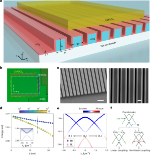 光とナノ構造により室温で新しい物質状態を創出（New state of matter at room temperature）