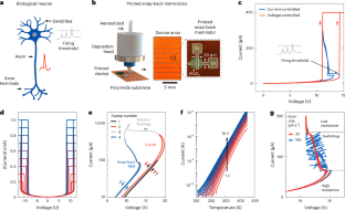 人工ニューロンが生体脳細胞と通信する技術（Printed neurons communicate with living brain cells）