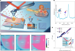 単一粒子触媒上での水酸化反応を可視化（Scientists Visualize Water Oxidation on Single-Particle Catalysts）