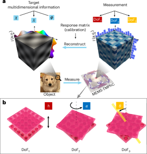 ねじれた結晶による小型高性能光デバイスの開発（Twisted crystals open door to smaller, more powerful optical devices）