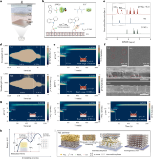 Fully thermally evaporated perovskite solar cells based on reverse layer-by-layer deposition – Nature