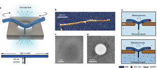 デルフト工科大学の研究者がナノスケールで流体駆動ローターを作成(TU Delft researchers create flow-driven rotors at the nanoscale)