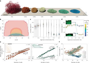 成長するバイオフィルムが宿主の環境を積極的に変化させることが明らかに(Growing biofilms actively alter host environment, new study reveals)