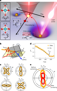 量子コンピュータの優位性を証明（Proving Quantum Computers Have the Edge）