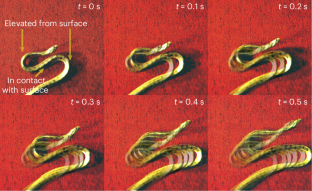 若いアナコンダの動きに着想を得たロボット技術への応用研究(Slithering Snakes: The Science Behind the Motion of a Young Anaconda)