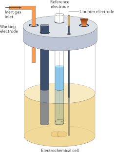 study of synthesis chemistry