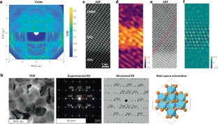 extended data figure 2