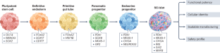 stem cell research in diabetes type 1