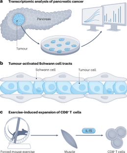 new research for pancreatic cancer