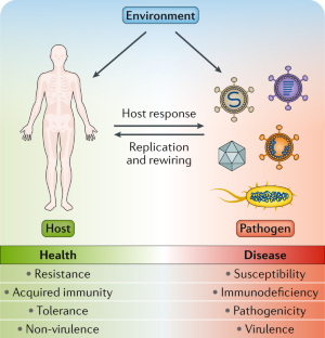 infectious disease research paper ideas