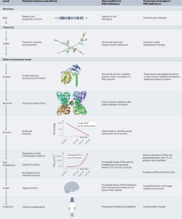 null hypothesis mendelian genetics