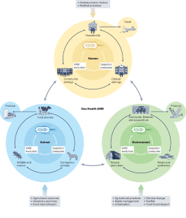 extended data figure 2
