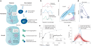 非古典的な方法で結晶が形成される仕組みを解読する(Deciphering How Crystals Form in Non-Classical Ways)