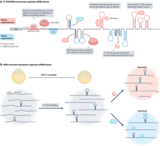extended data figure 3