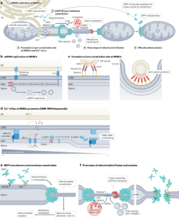 extended data figure 3