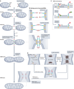 extended data figure 4