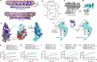 download osteosynthese in der