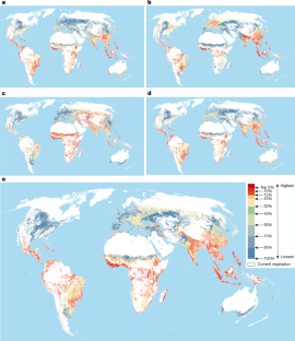 essays on ecosystem restoration