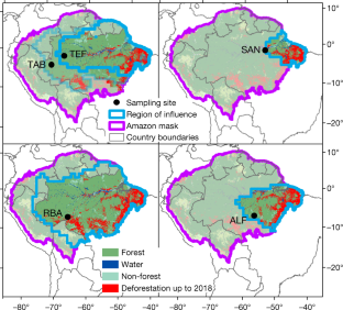 case study of amazon rainforest