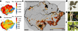 amazon rainforest case study quizlet