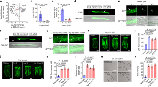 鉄分を多く含む血液の分子「TANGO2」に着目し、研究を開始(Researchers Target TANGO2 to Study Iron-Rich Blood Molecule)