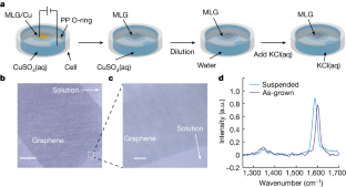 Structure evolution at the gate-tunable suspended graphene–water interface - Nature.com