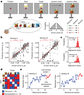 ある場所について考えるだけで、脳内のメンタルマップが活性化される(Just thinking about a location activates mental maps in the brain)
