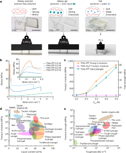 研究者たちが「ガラス状ゲル」と呼ばれる新しいクラスの材料を開発(Researchers Create New Class of Materials Called ‘Glassy Gels’)