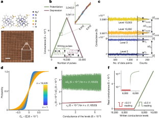 「コンピューティングに革命をもたらす」構成要素を発見(UL researchers discover building blocks that could ‘revolutionise computing’)