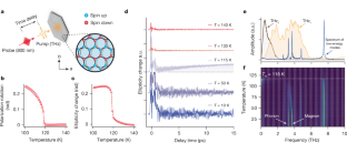 テラヘルツレーザーで物質の磁性を生成（Physicists magnetize material using light）