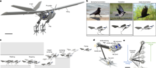 鳥をモチーフにしたドローン、ジャンプして離陸可能(Bird-inspired drone can jump for take-off)