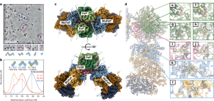 窒素を「固定」する微生物の鍵となるステップを解明 (Scientists Uncover Key Step in How Diazotrophs “Fix” Nitrogen)