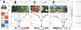 昆虫が気温を調整する仕組みに関する研究(What we can learn from how flies set the thermostat)